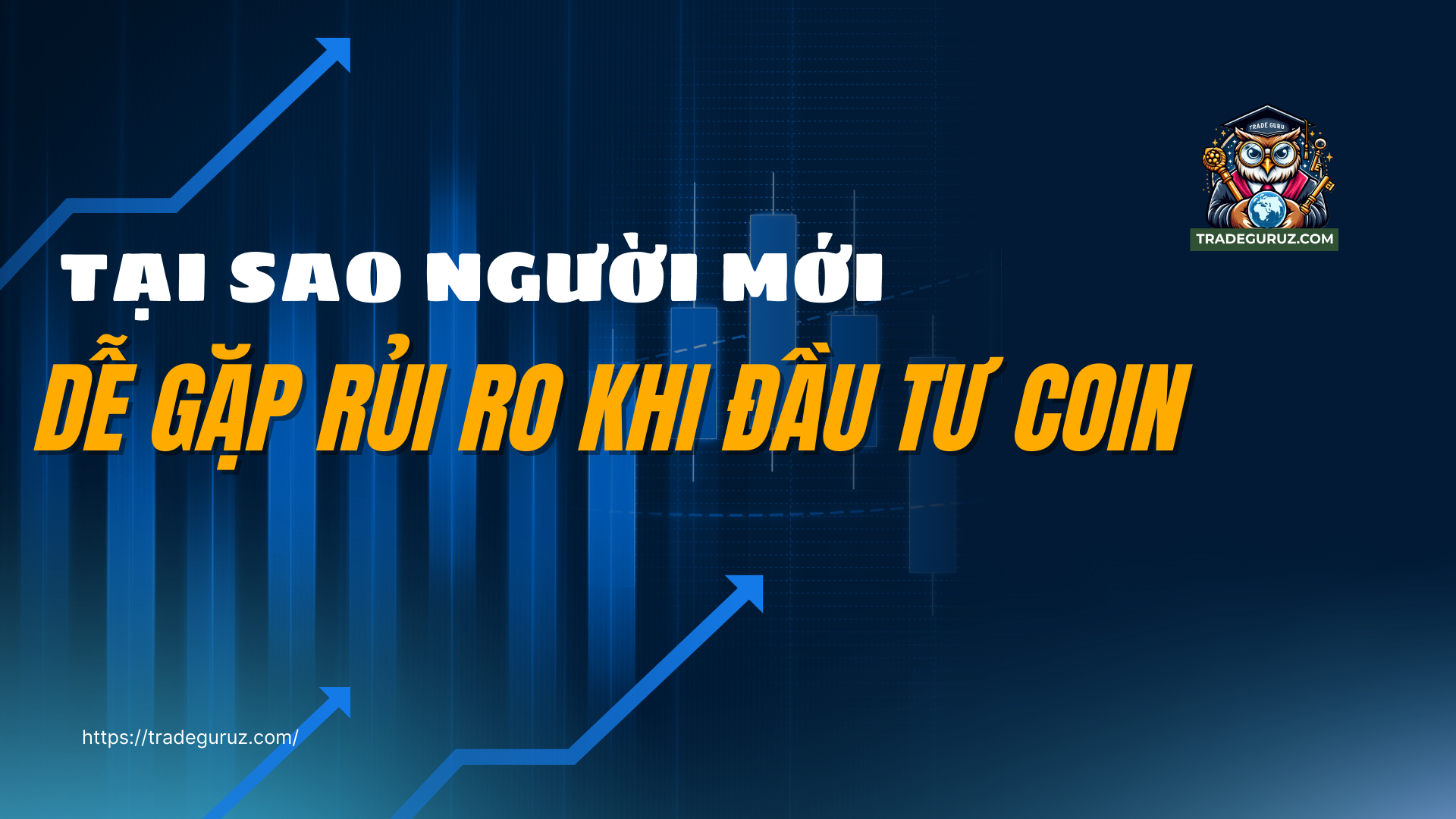 Tại sao người mới dễ dàng gặp rủi ro khi đầu tư coin